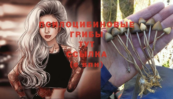 соль курить ск Балахна