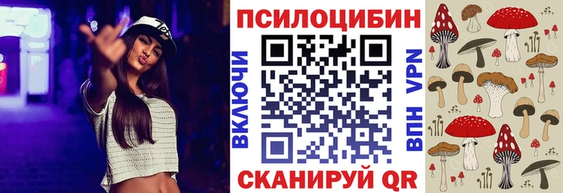 купить Северо-Курильск Псилоцибиновые грибы Psilocybe